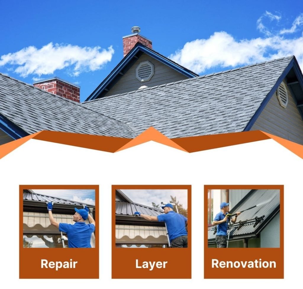 Alpha Holistic Roofing About